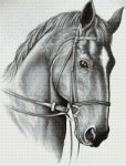 (image for) Horse